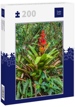 Lais Puzzle - Bromelie im Nationalpark Podocarpus im Süden Ecuadors - 200 Teile