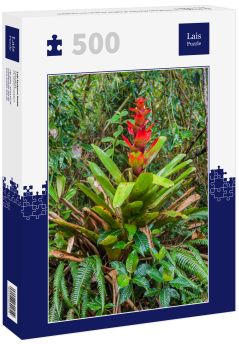 Lais Puzzle - Bromelie im Nationalpark Podocarpus im Süden Ecuadors - 500 Teile