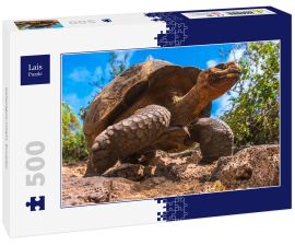 Lais Puzzle - Galapagos-Inseln, Ecuador - 500 Teile