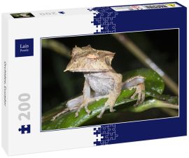 Lais Puzzle - Orchidee, Ecuador - 200 Teile