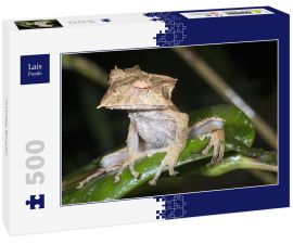 Lais Puzzle - Orchidee, Ecuador - 500 Teile