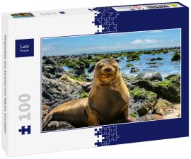 Lais Puzzle - Pelzrobbe am Strand von Mann, Ecuador - 100 Teile