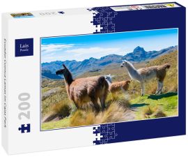Lais Puzzle - Ecuador Cuenca Lamas im Cajas Park - 200 Teile