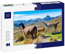 Lais Puzzle - Ecuador Cuenca Lamas im Cajas Park - 500 Teile