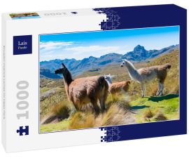 Lais Puzzle - Ecuador Cuenca Lamas im Cajas Park - 1.000 Teile