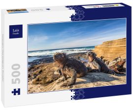 Lais Puzzle - Galapagos Meeresleguan, Ecuador - 500 Teile