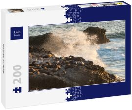 Lais Puzzle - Seelöwe, Ecuador - 200 Teile