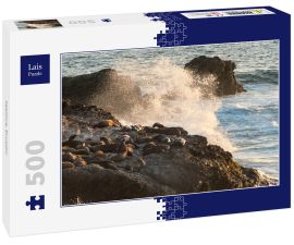 Lais Puzzle - Seelöwe, Ecuador - 500 Teile