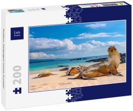 Lais Puzzle - Robben, Galapagos-Inseln, Ecuador - 200 Teile