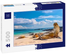 Lais Puzzle - Robben, Galapagos-Inseln, Ecuador - 500 Teile