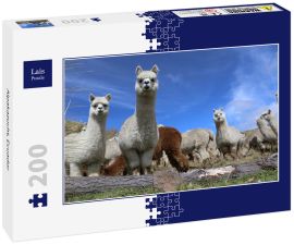 Lais Puzzle - Alpakazucht, Ecuador - 200 Teile