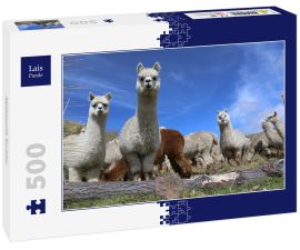 Lais Puzzle - Alpakazucht, Ecuador - 500 Teile