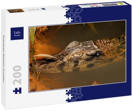Lais Puzzle - Schwarzer Kaiman, Ecuador - 200 Teile