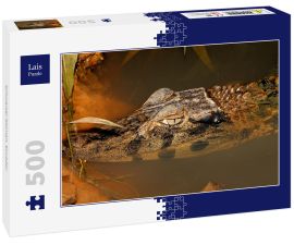 Lais Puzzle - Schwarzer Kaiman, Ecuador - 500 Teile