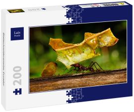 Lais Puzzle - Blattschneiderameise, Ecuador - 200 Teile