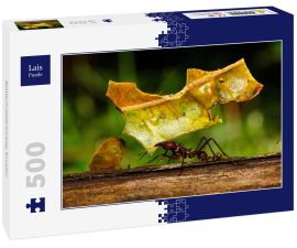 Lais Puzzle - Blattschneiderameise, Ecuador - 500 Teile