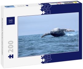 Lais Puzzle - Buckelwal in Puerto Lopez Ecuador - 200 Teile