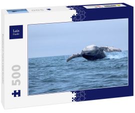 Lais Puzzle - Buckelwal in Puerto Lopez Ecuador - 500 Teile