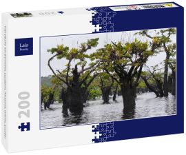 Lais Puzzle - Tote Bäume mit Bromelien, Cuyabeno, Amazonia, Oriente, Ecuador - 200 Teile