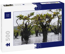 Lais Puzzle - Tote Bäume mit Bromelien, Cuyabeno, Amazonia, Oriente, Ecuador - 500 Teile