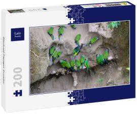 Lais Puzzle - Blaukopf-Papagei, Ecuador - 200 Teile