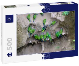 Lais Puzzle - Blaukopf-Papagei, Ecuador - 500 Teile