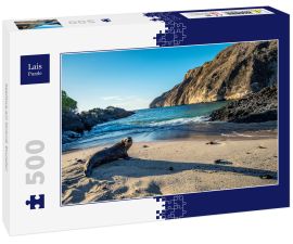 Lais Puzzle - Seelöwe am Strand, Ecuador - 500 Teile