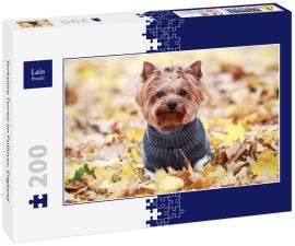 Lais Puzzle - Yorkshire Terrier im Pullover, England - 200 Teile