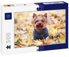 Lais Puzzle - Yorkshire Terrier im Pullover, England - 500 Teile