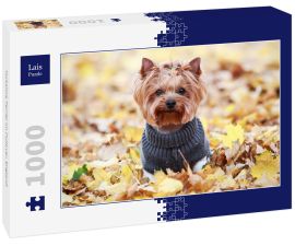 Lais Puzzle - Yorkshire Terrier im Pullover, England - 1.000 Teile