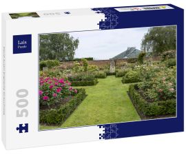 Lais Puzzle - David Austin Englische Strauchrose - 500 Teile