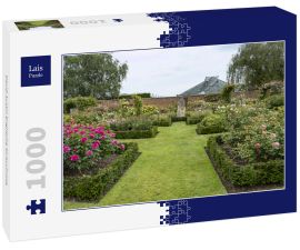 Lais Puzzle - David Austin Englische Strauchrose - 1.000 Teile