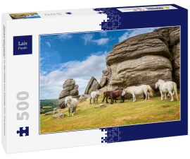 Lais Puzzle - Dartmoor Ponys in der Nähe von Saddle Tor, Dartmoor, Devon, England - 500 Teile