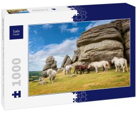 Lais Puzzle - Dartmoor Ponys in der Nähe von Saddle Tor, Dartmoor, Devon, England - 1.000 Teile