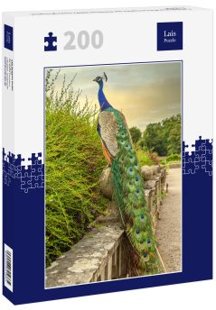 Lais Puzzle - Farbenfroher Pfau im Garten der Newstead Abbey, Nottinghamshire, England - 200 Teile