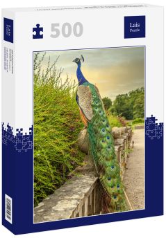 Lais Puzzle - Farbenfroher Pfau im Garten der Newstead Abbey, Nottinghamshire, England - 500 Teile