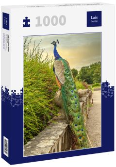 Lais Puzzle - Farbenfroher Pfau im Garten der Newstead Abbey, Nottinghamshire, England - 1.000 Teile