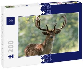 Lais Puzzle - Damhirschbock, Wentworth Castle, England - 200 Teile