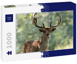 Lais Puzzle - Damhirschbock, Wentworth Castle, England - 1.000 Teile