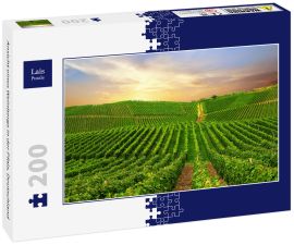 Lais Puzzle - Ansicht eines Weinbergs in der Pfalz, Deutschland
 - 200 Teile