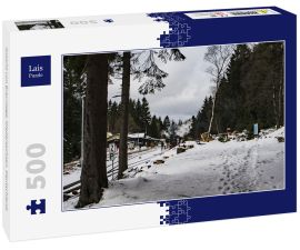 Lais Puzzle - Ansicht von Braunlage, Niedersachsen, Deutschland.  - 500 Teile