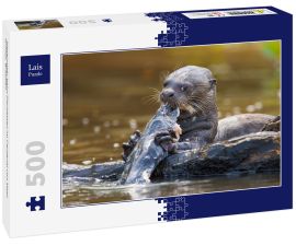 Lais Puzzle - Riesenotter beim Fischessen im Pantanal von Mato Grosso, Brasilien - 500 Teile