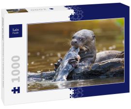Lais Puzzle - Riesenotter beim Fischessen im Pantanal von Mato Grosso, Brasilien - 1.000 Teile
