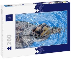 Lais Puzzle - Schildkröte beim Schwimmen im Projekt Tamar-Tank in Praia do Forte, Brasilien - 200 Teile