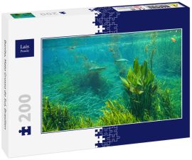 Lais Puzzle - Bonito, Mato Grosso do Sul, Brasilien - 200 Teile