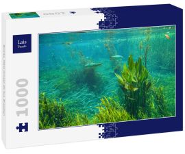 Lais Puzzle - Bonito, Mato Grosso do Sul, Brasilien - 1.000 Teile