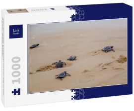 Lais Puzzle - Frisch geschlüpfte Schildkröten auf ihrem Weg ins Meer in Aracaju, Sergipe, Brasilien - 1.000 Teile