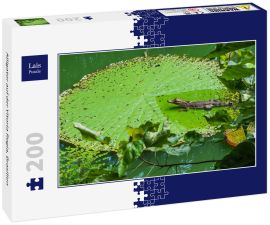 Lais Puzzle - Alligator auf der Vitoria Regia, Brasilien - 200 Teile