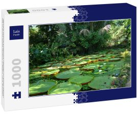 Lais Puzzle - Mehrere Victoria amazonica Pflanzen an einem kleinen See im Emilio Goeldi Museum in Belém, Pará, Brasilien - 1.000 Teile