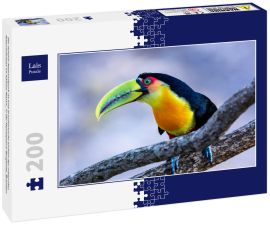 Lais Puzzle - Der Itatiaia-Nationalpark ist eine brasilianische Einheit des integralen Naturschutzes im Itatiaia-Massiv, in der Mantiqueira-Bergkette, Brasilien - 200 Teile